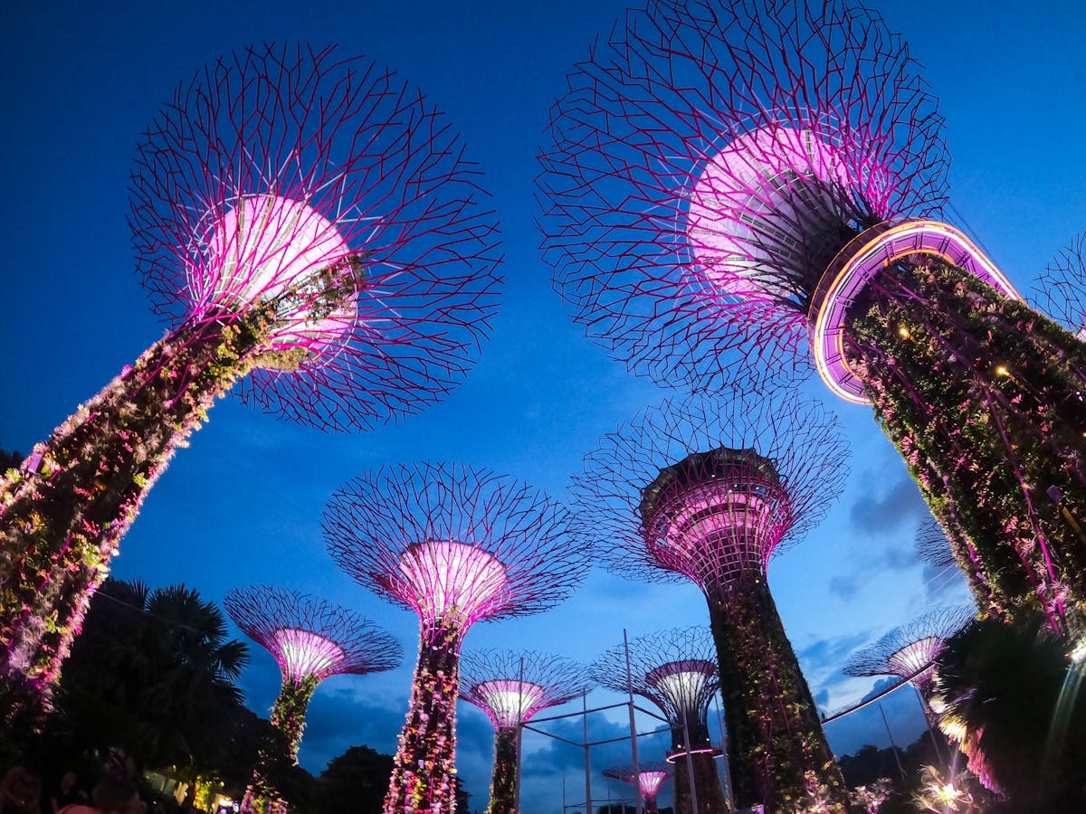 The illuminated Supertree Grove at Gardens by the Bay against the night sky
