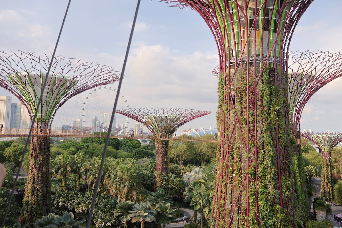 The lush interior of the Cloud Forest conservatory with its towering indoor waterfall