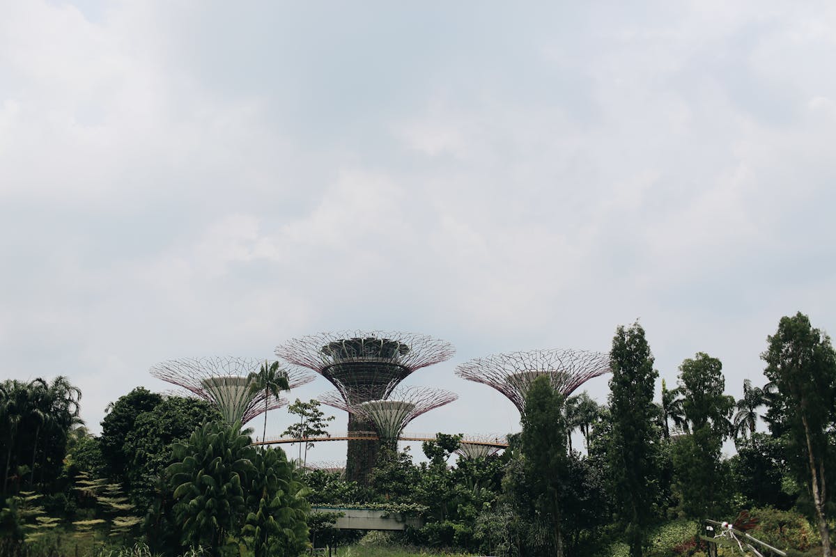 Supertrees towering against a dramatic sky at Gardens by the Bay