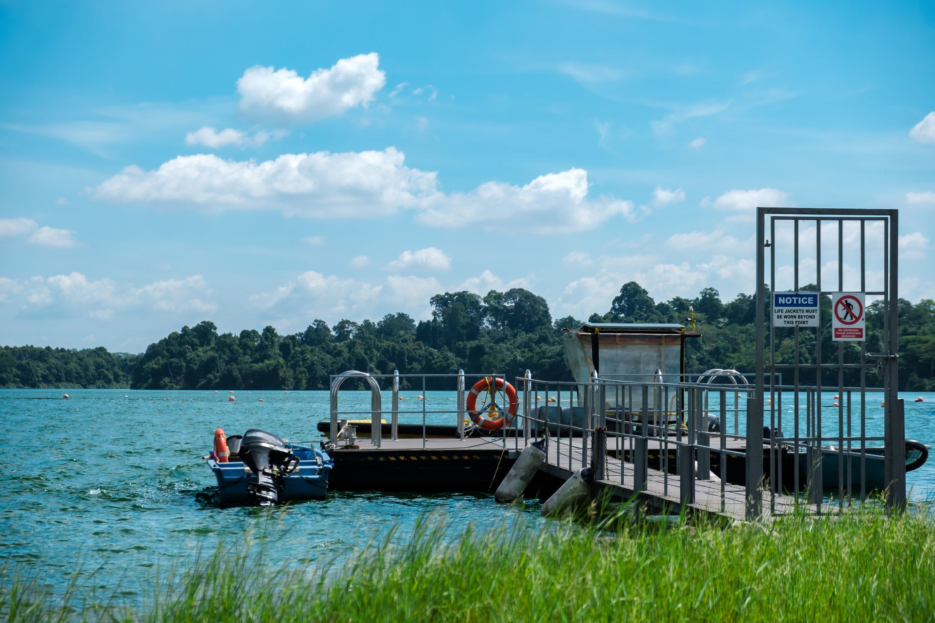 Cyclist on a dirt track through Pulau Ubin's secondary jungle, an old flooded granite quarry visible as a blue lake through the trees
