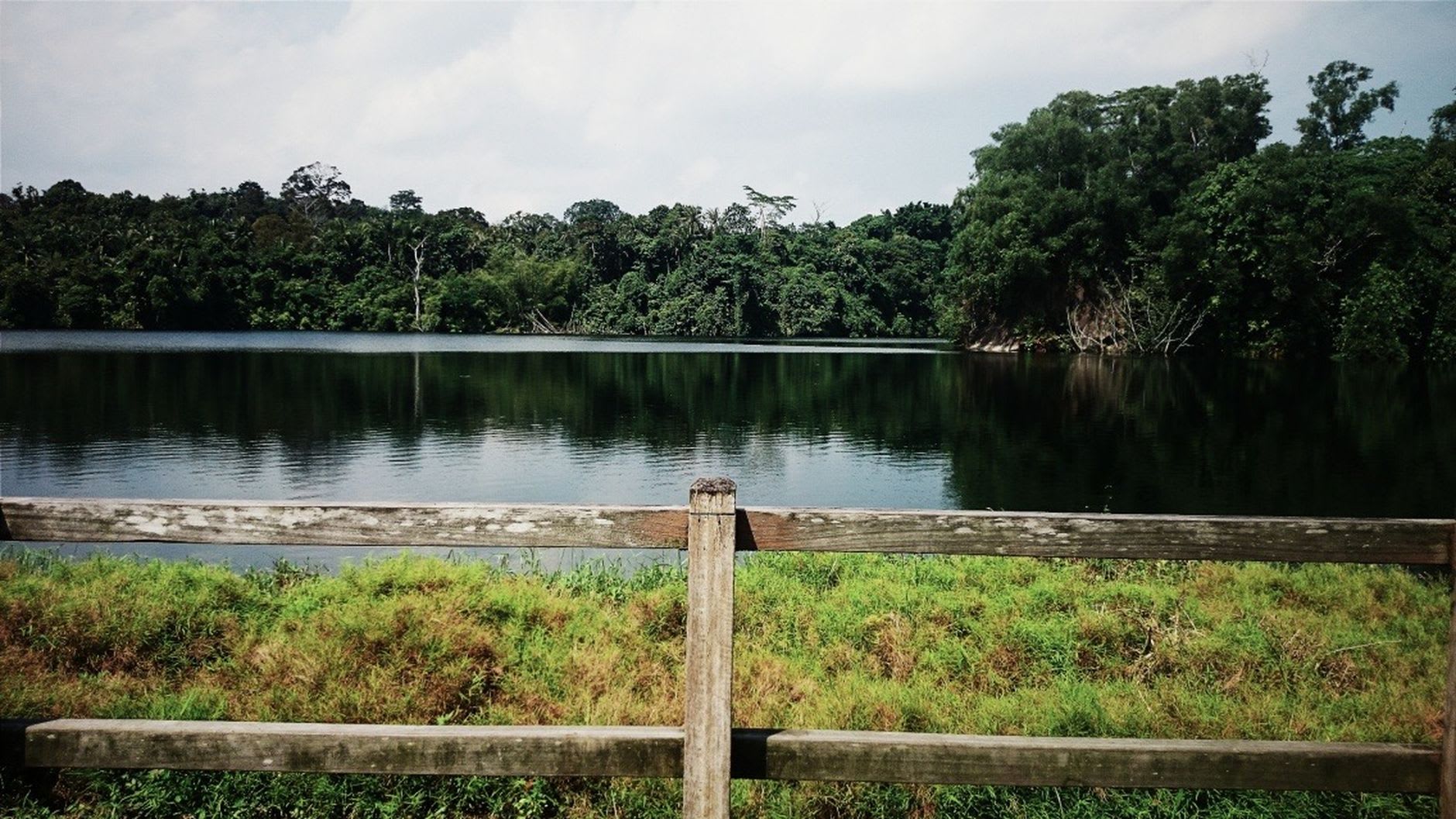 Boardwalk winding through the mangroves at Chek Jawa Wetlands on Pulau Ubin at low tide, exposed mudflats and a coastal viewing tower