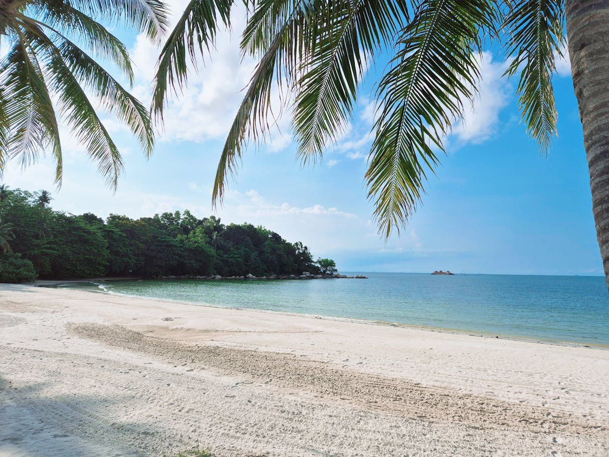 Sentosa's coastline with tropical vegetation and the Singapore skyline in the distance