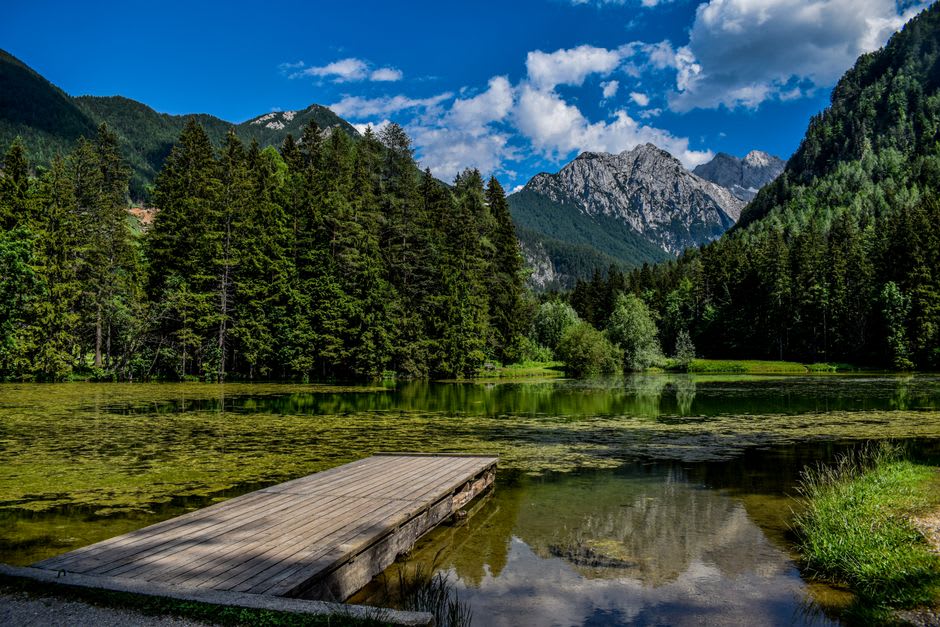 Traditional wooden hay racks standing in a green pasture in the Jezersko valley below steep alpine peaks