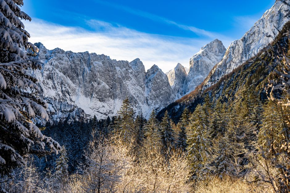 Vue depuis un sentier forestier au-dessus de Planica, plongeant sur les tremplins de saut à ski nichés parmi les arbres