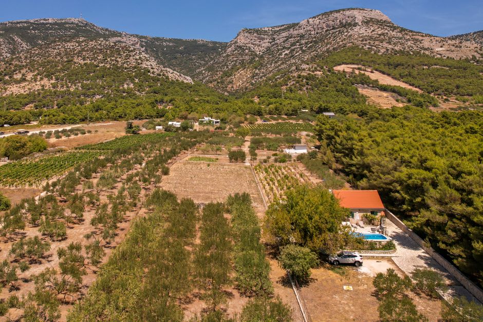 Vista sobre árboles frutales y suaves colinas de viñedos cerca de Rogatec hacia la frontera croata