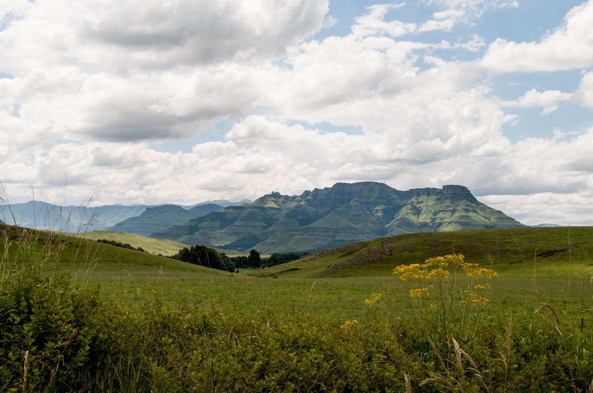The dramatic peaks and escarpments of the Drakensberg mountains