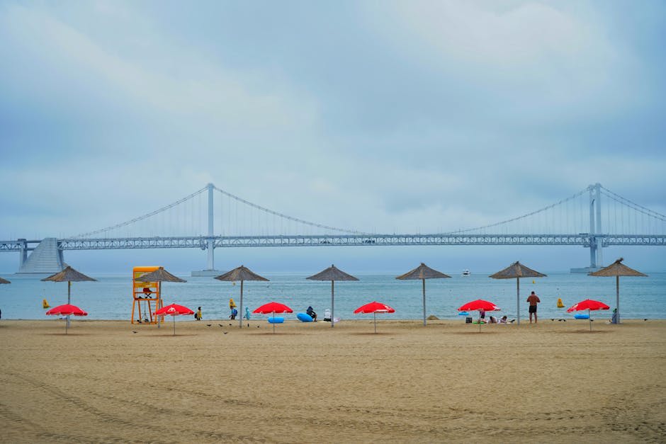 Busan's dramatic coastline with beaches and cliffs