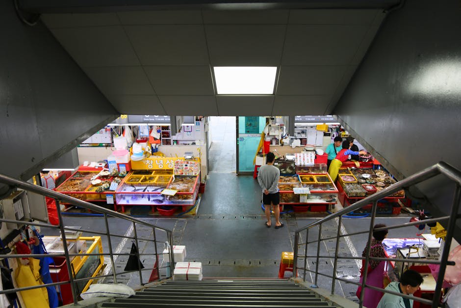 Busan's fresh seafood market with colourful displays