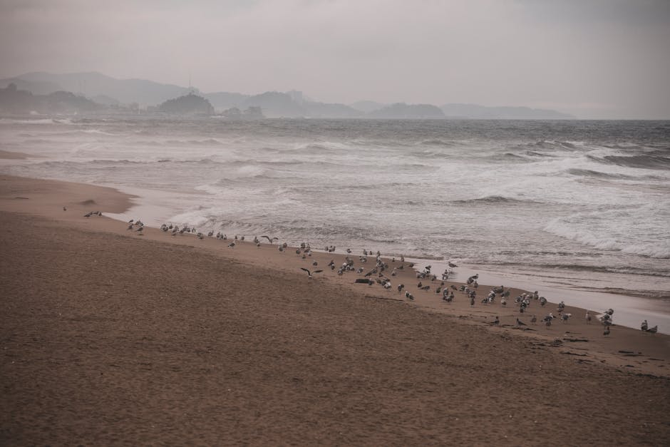 Gangneung's pristine east coast beach at sunrise