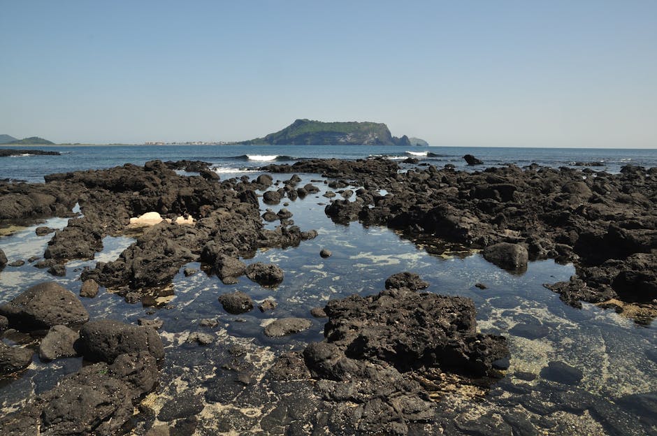 Jeju Island's dramatic coastal cliffs and deep blue ocean