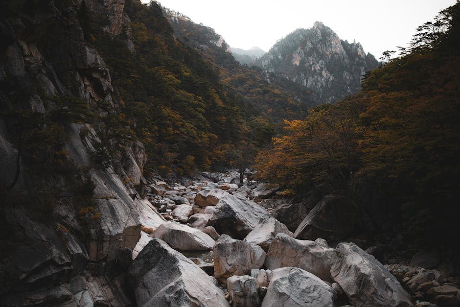 Autumn foliage covering the mountain slopes of Seoraksan