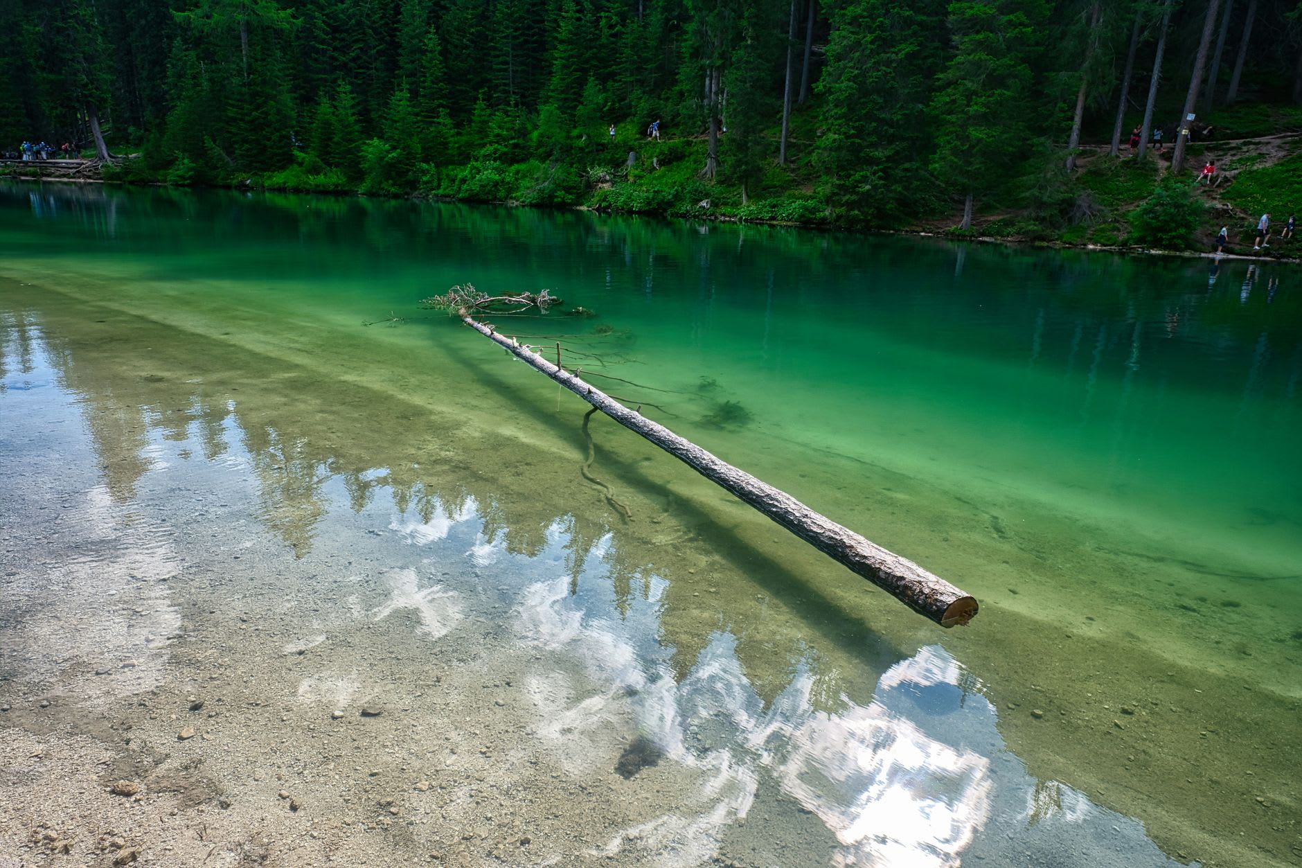 The clear emerald and turquoise water of Lago di Carezza with submerged pale stones visible on the bottom, dark spruce reflected at the near shore