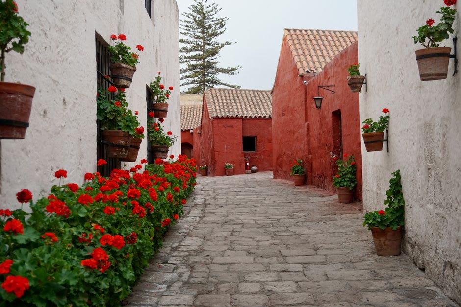 A steep cobbled alley in Frigiliana's Barribarto quarter lined with whitewashed houses and potted geraniums