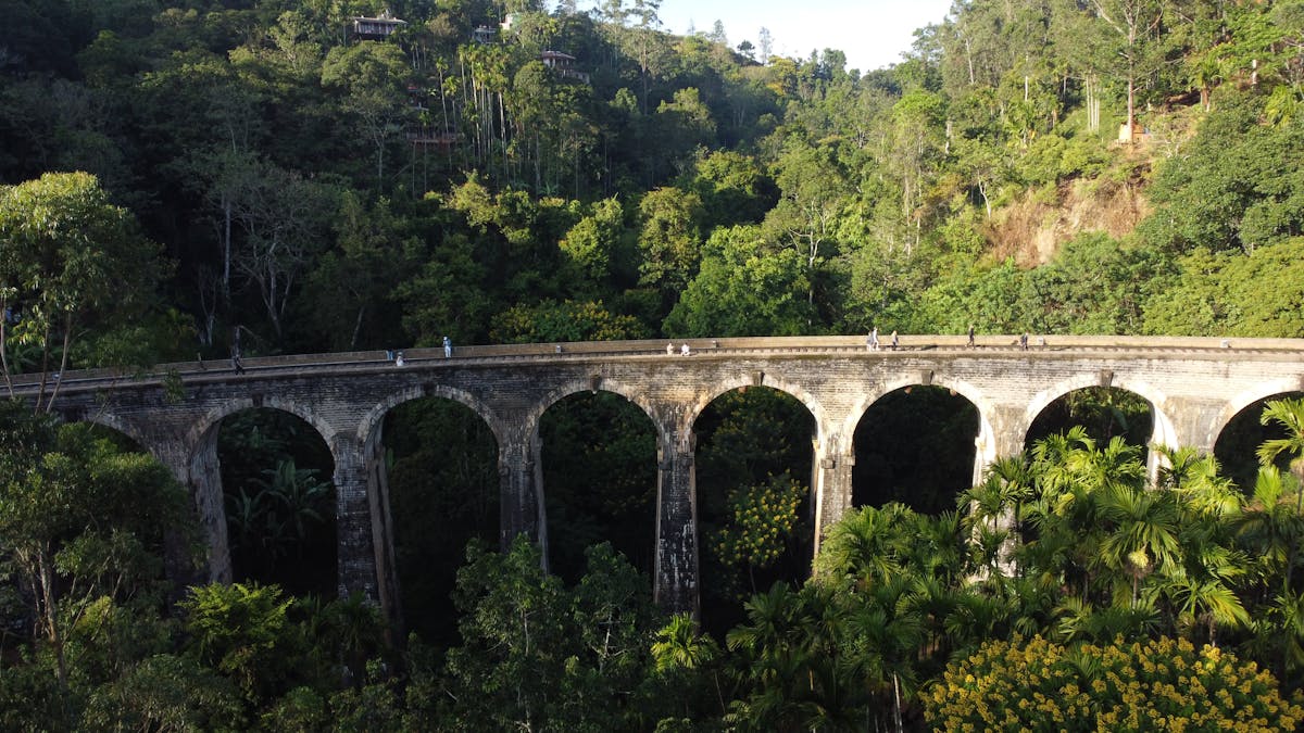 The iconic Nine Arches Bridge surrounded by lush tea plantations in Ella