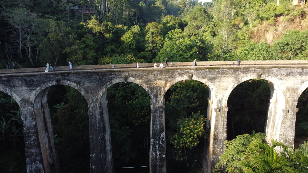 Misty mountain valley view from Ella with terraced tea fields