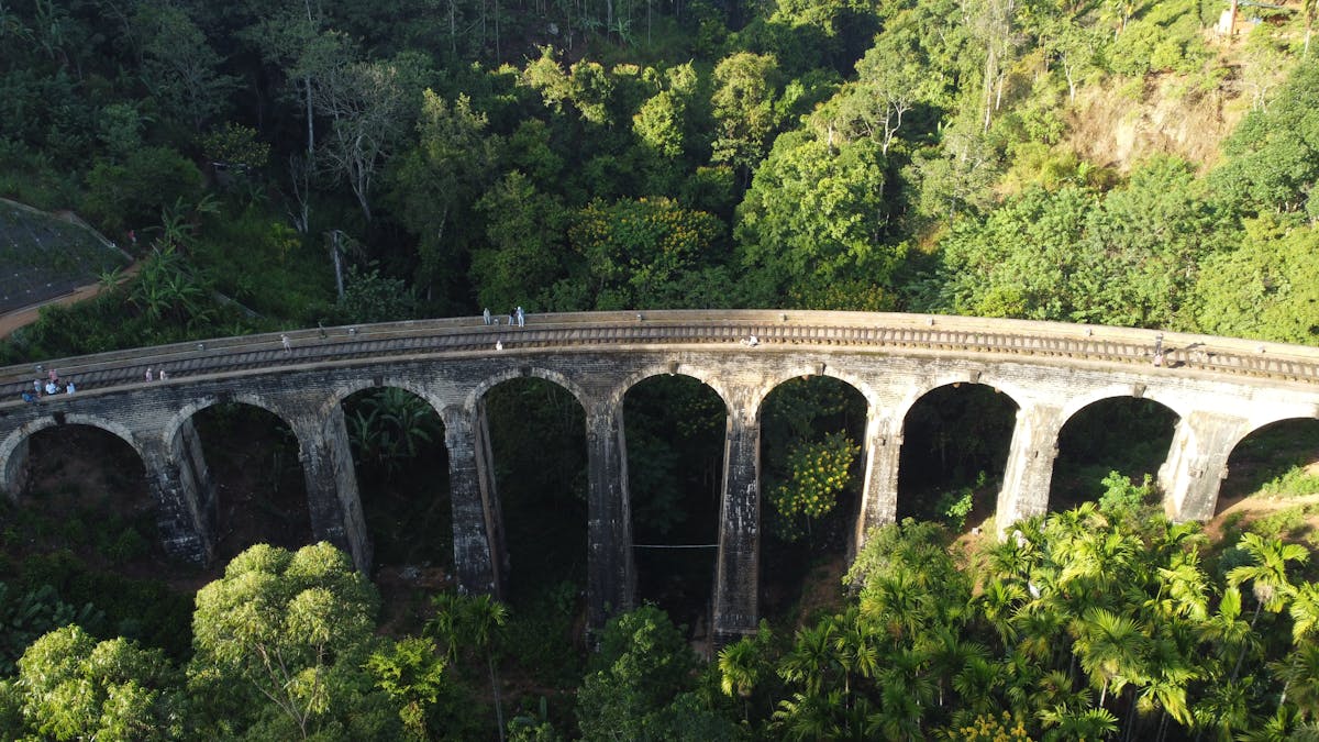 Misty emerald tea plantations covering the rolling hills of Nuwara Eliya