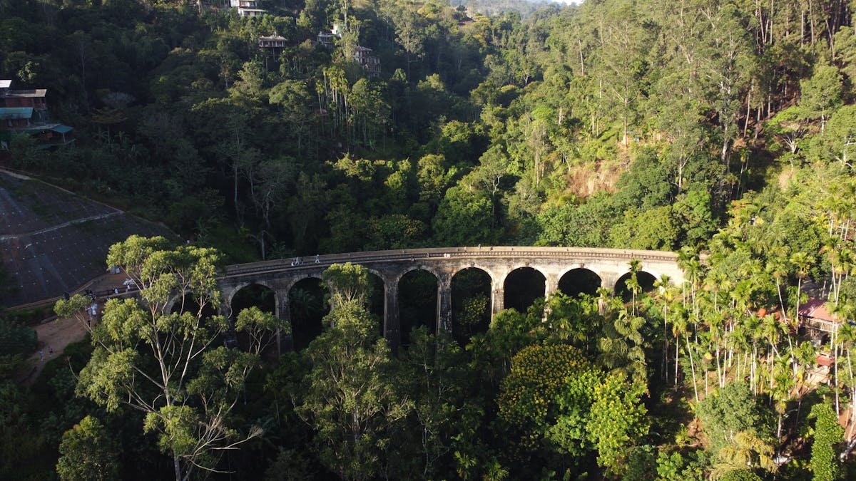 Tea pickers working among the terraced green hillsides near Nuwara Eliya