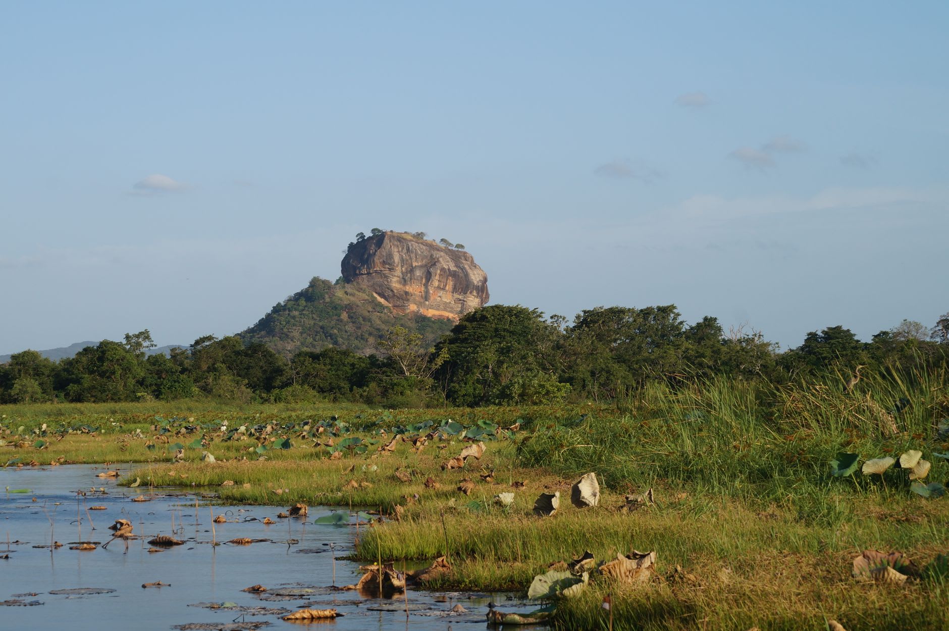 The massive carved lion paws at the base of Sigiriya's final ascent — stone claws larger than a person set into the rock face, the narrow iron staircases rising between them toward the summit