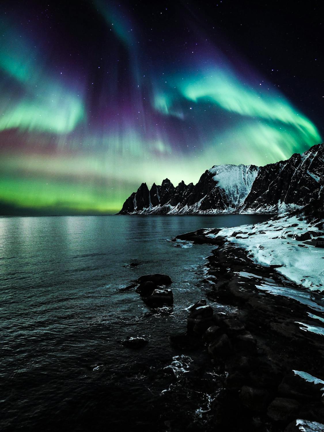 Aurora borealis illuminating the snowy Arctic coast