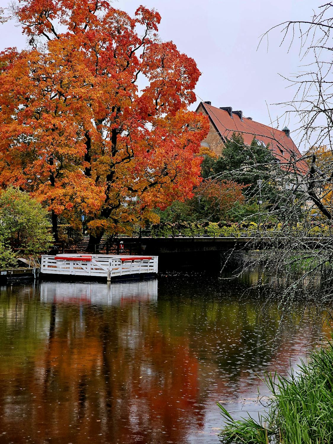 Autumn reflections along the Fyris River in Uppsala