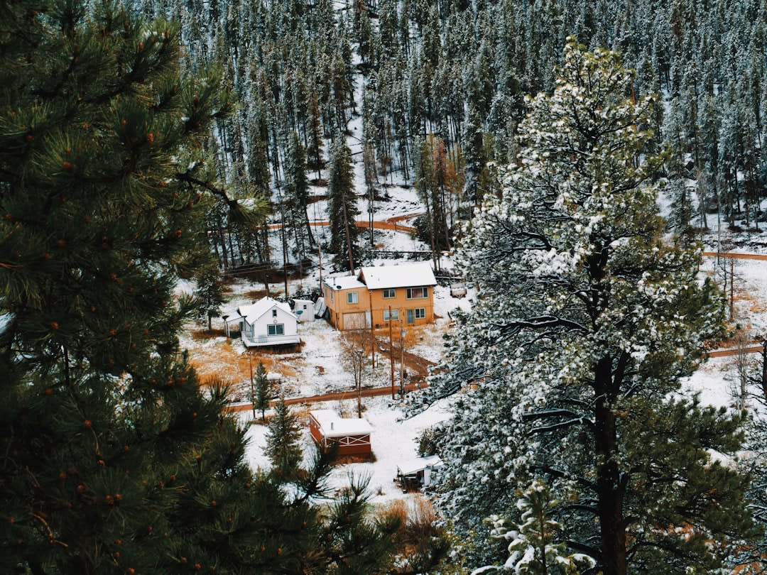 Snow-dusted treehouse room with a wooden staircase spiraling up through the pines