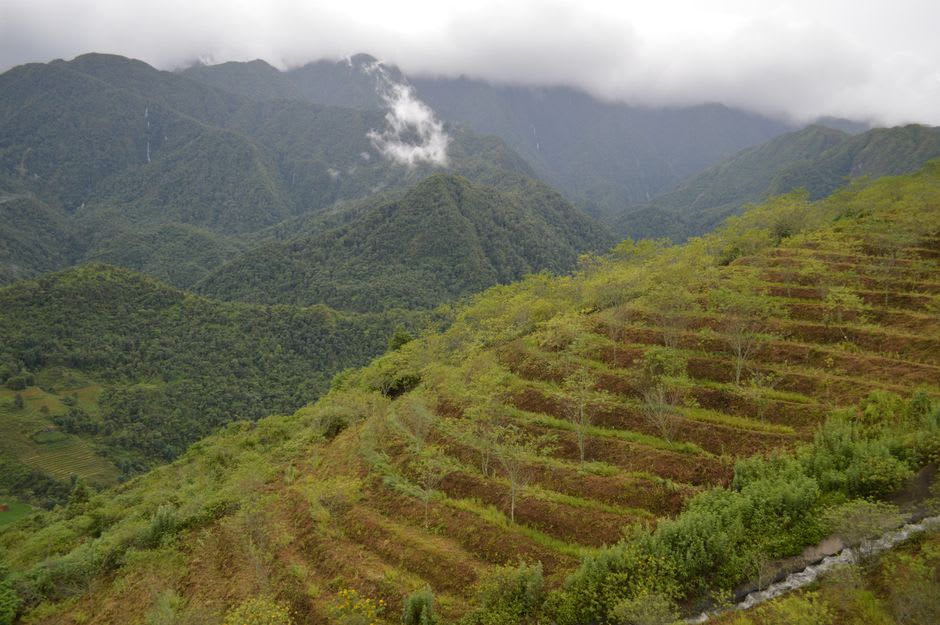Terraced former mining buildings climbing the green, mist-covered hillside of the Gold Ecological Park