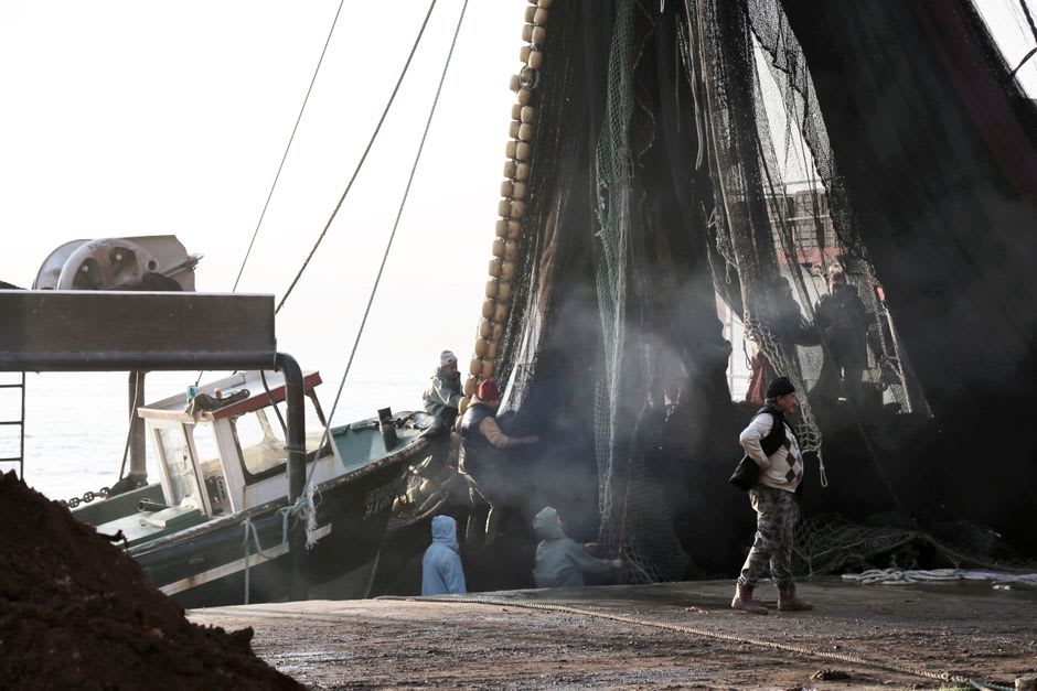 Des chalutiers déchargeant leur pêche au port de Bisha à Keelung, des membres d'équipage travaillant sous les lumières du port pendant que des mouettes tournoient