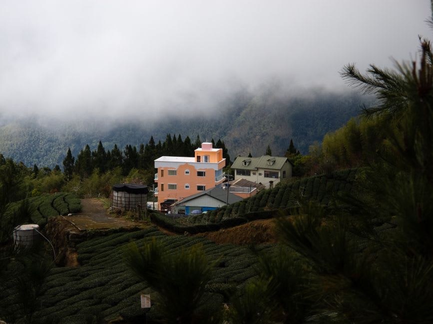 De petites théières et tasses en argile disposées pour une séance de dégustation d'oolong dans une ferme à thé de Lugu