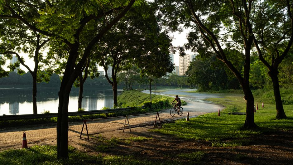 Un cycliste roulant le long du chemin ombragé qui encercle le lac Liyu, l'eau visible à travers les arbres