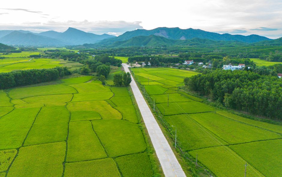 A quiet rural road lined with rice paddies and distant mountains near Ruisui township