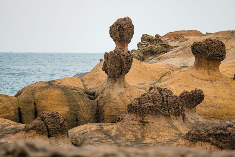 Des rangées de formations rocheuses en grès en forme de champignon au géoparc de Yehliu, amincies à la base par des siècles d'érosion due au vent et aux vagues