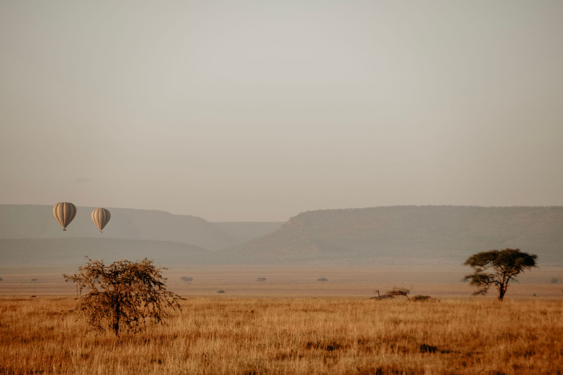 Globos aerostáticos sobrevolando las llanuras del Serengeti al amanecer