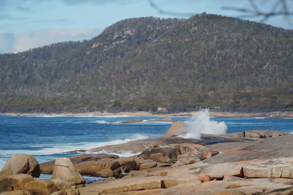 Rugged, undeveloped coastline near takayna where rainforest meets the Southern Ocean