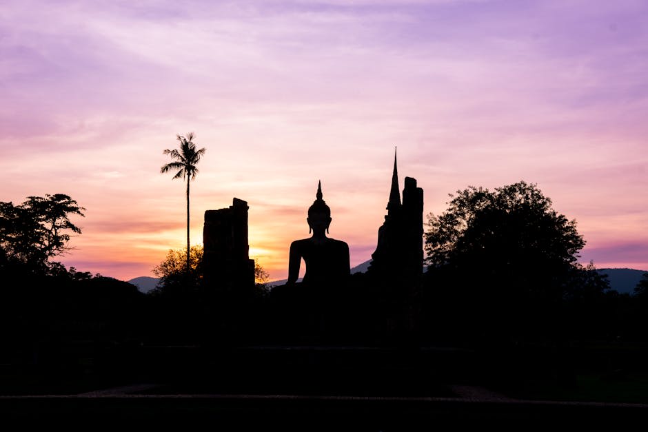 Seated Buddha statue reflected in a lotus pond at Sukhothai Historical Park