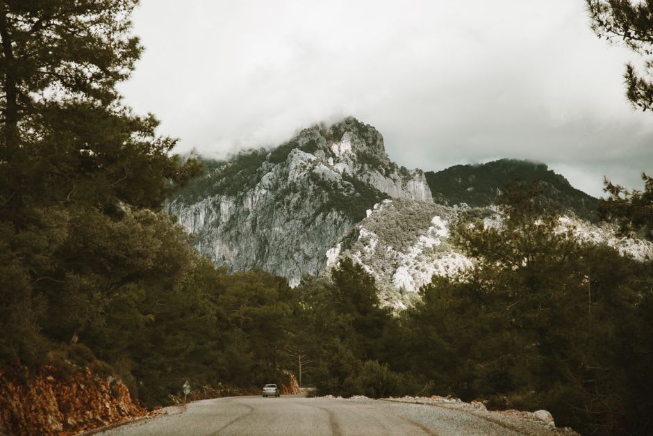 A misty pine forest road winding through the mountains near Bolu