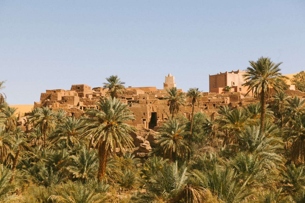 A lush palm oasis with ancient irrigation channels