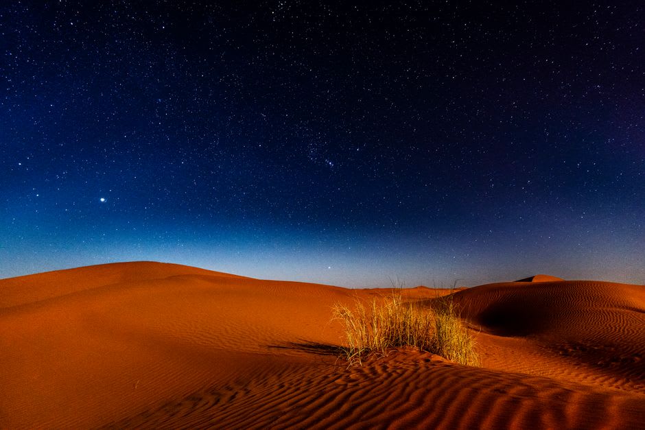 Star-filled night sky over dark sand dunes in the Al Marmoom Desert Conservation Reserve
