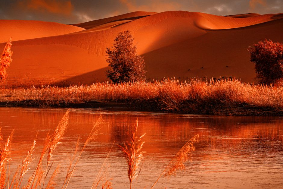 Sunset over Al Qudra Lake with silhouetted desert dunes reflected in the still water