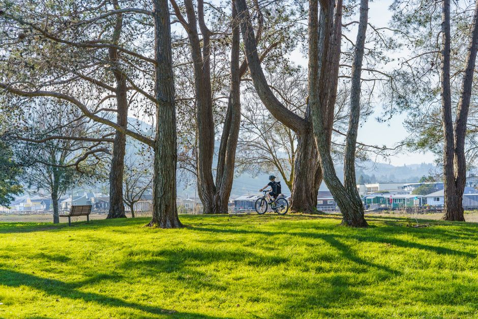 Cyclists riding along a tree-lined path through Dubai Hills community parkland