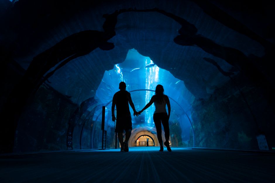 Sharks and rays swimming past the glass wall of the Dubai Aquarium inside Dubai Mall