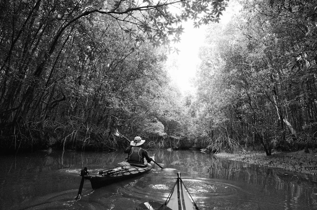 Mangrove kayaking in calm waters with desert island behind