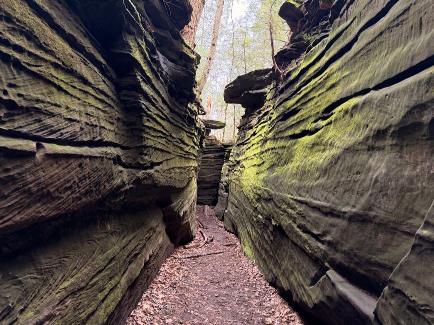 Massive split sandstone blocks forming corridor-like paths at Giant City State Park near Carbondale, Illinois