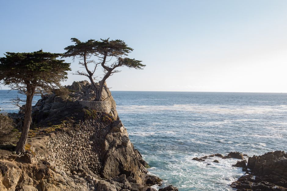 The steep white sand beach at the foot of Ocean Avenue with cypress trees on the bluff