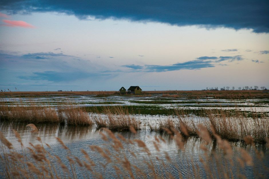 Salt marsh grasses and open water within the Ninigret National Wildlife Refuge in Charlestown, Rhode Island
