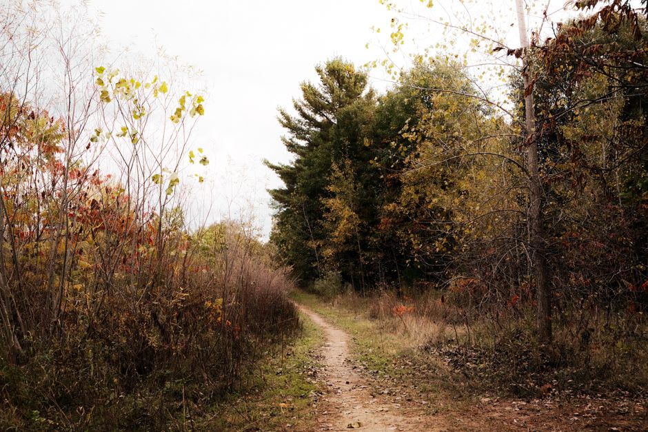 A wooded hiking trail with early fall color in the Glocester countryside near Chepachet, Rhode Island