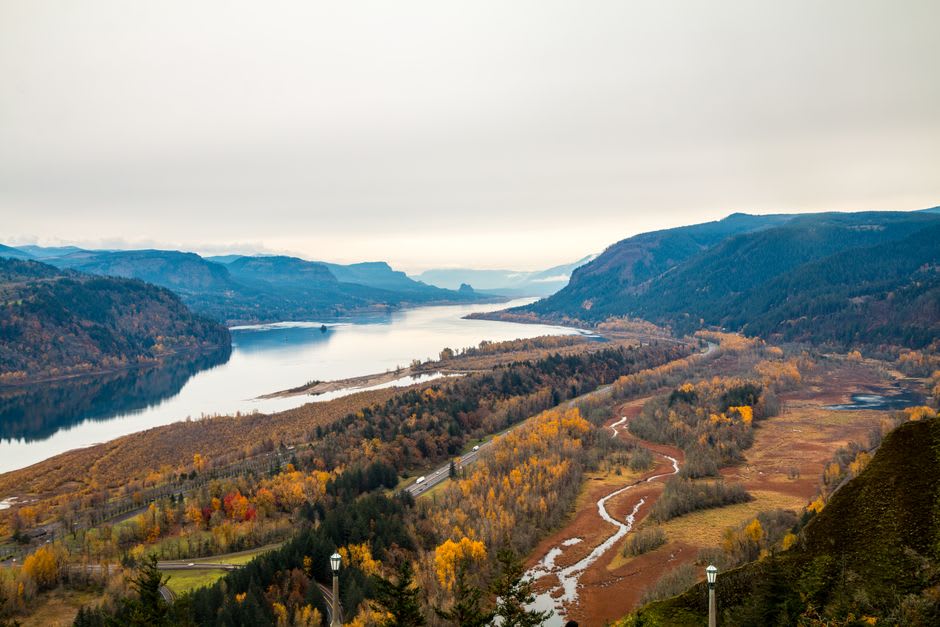 Golden hills of the eastern Columbia River Gorge with yellow wildflowers above a sweeping bend in the river
