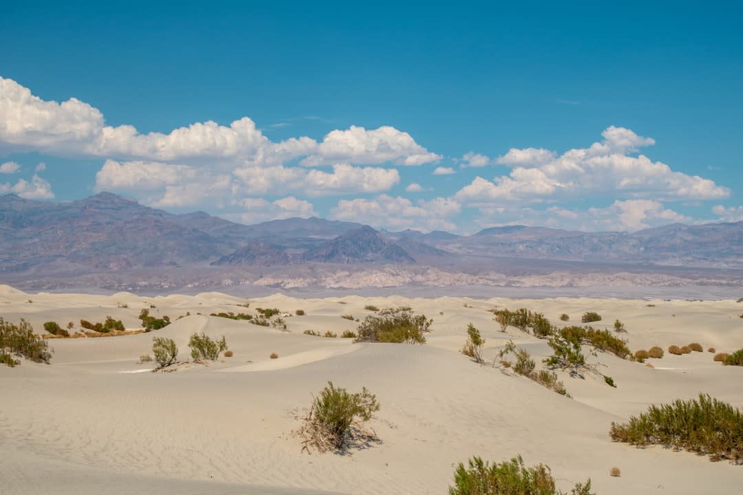 Wind-rippled sand dunes at Mesquite Flat glowing gold in the low dawn light