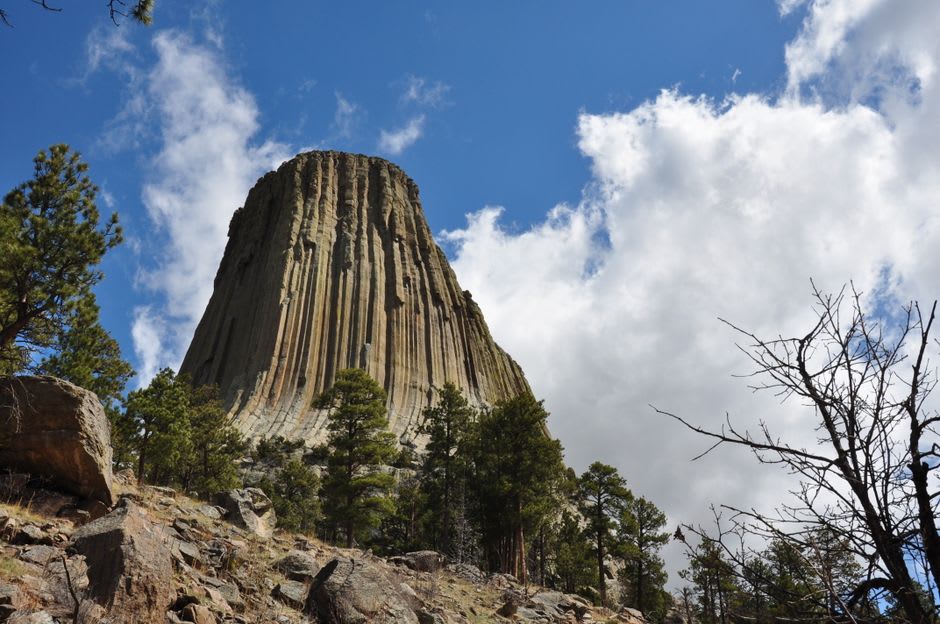 Hexagonal columns of Devils Tower seen from the base trail through ponderosa pines
