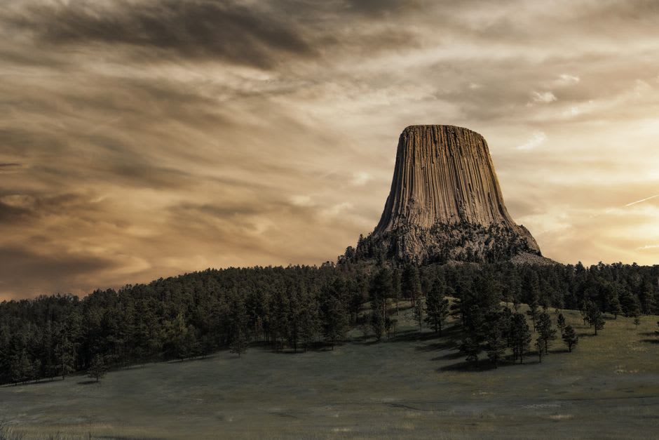 Prairie dogs standing alert in a grassy meadow below Devils Tower