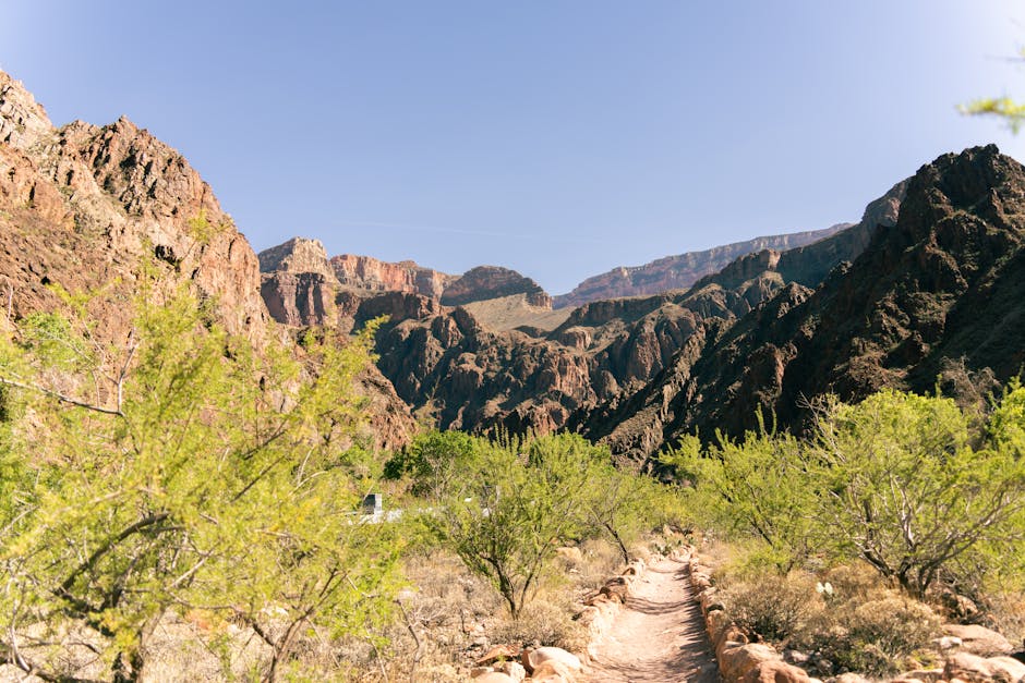 A narrow hiking trail winding along the canyon rim with vast canyon views